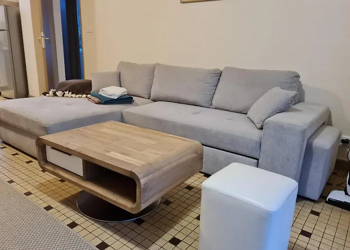 公寓 Avec Piscine 德尔塔